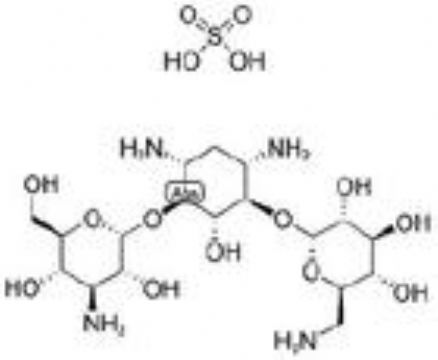 Kanamycin Monosulfate 